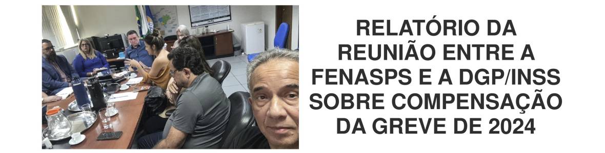 relatório reunião mesa fenasps